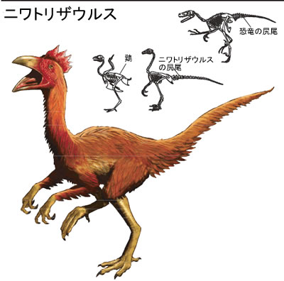 ニワトリザウルス.jpg