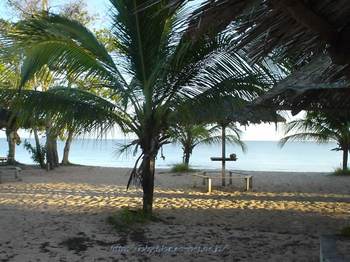 パラー川の砂浜と椰子の木.jpg