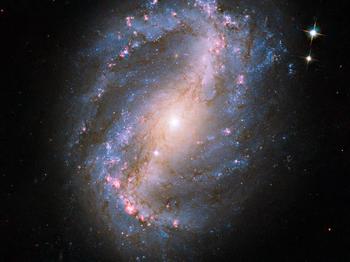 NGC-6217.jpg