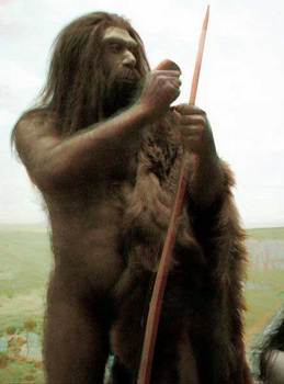 neandertal-3.jpg