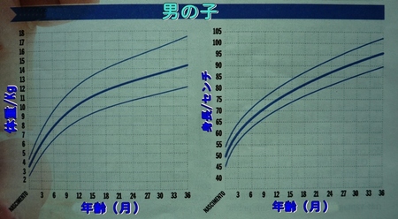 otokonoko-graf.JPG